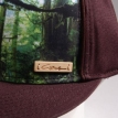 Бейсболка Circa Forest Brown 2010 г инфо 1491w.
